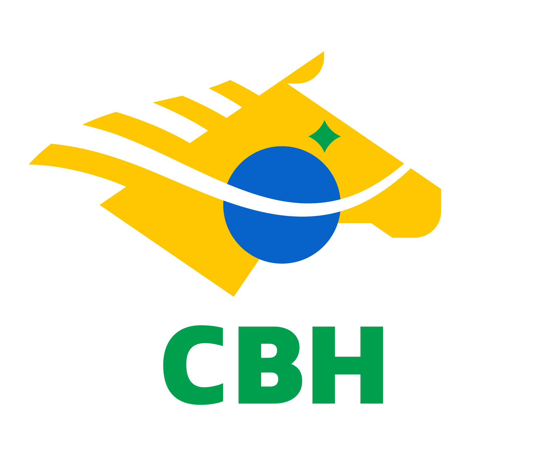 CONFEDERAÇÃO BRASILEIRA DE HIPISMO